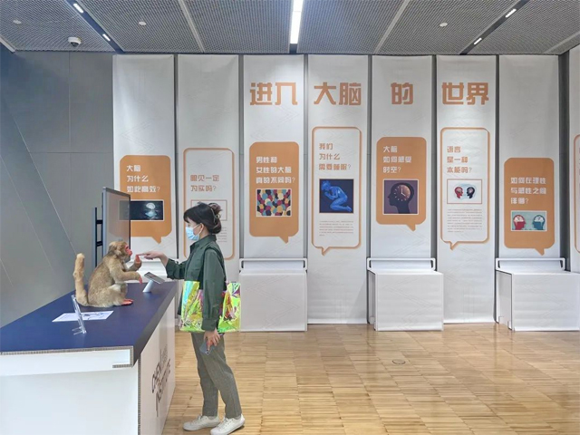 “追問(wèn)大腦”展廳