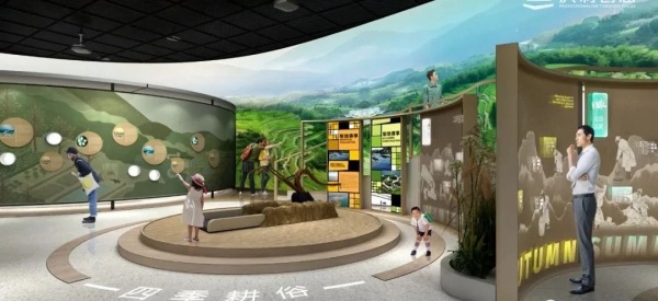 梯田博物館展廳設(shè)計(jì)