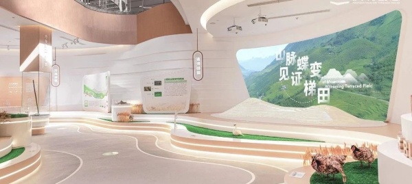 梯田博物館展廳設(shè)計(jì)